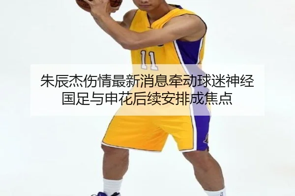 朱辰杰伤情最新消息牵动球迷神经 国足与申花后续安排成焦点